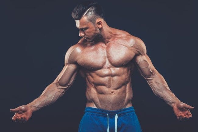Equipoise and Testosterone Cycle: The Synergy of Steroids