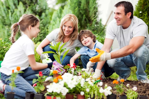 Das beste Gemüse für einen Anfängergarten