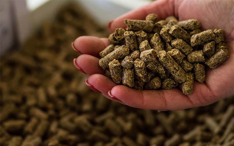 Treibstoff für die Zukunft: Nachhaltige Energie aus Pellets