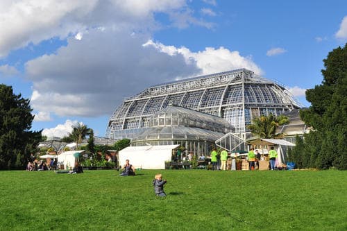 Die Kunst der Gartengestaltung: Mehr als nur Pflanzen