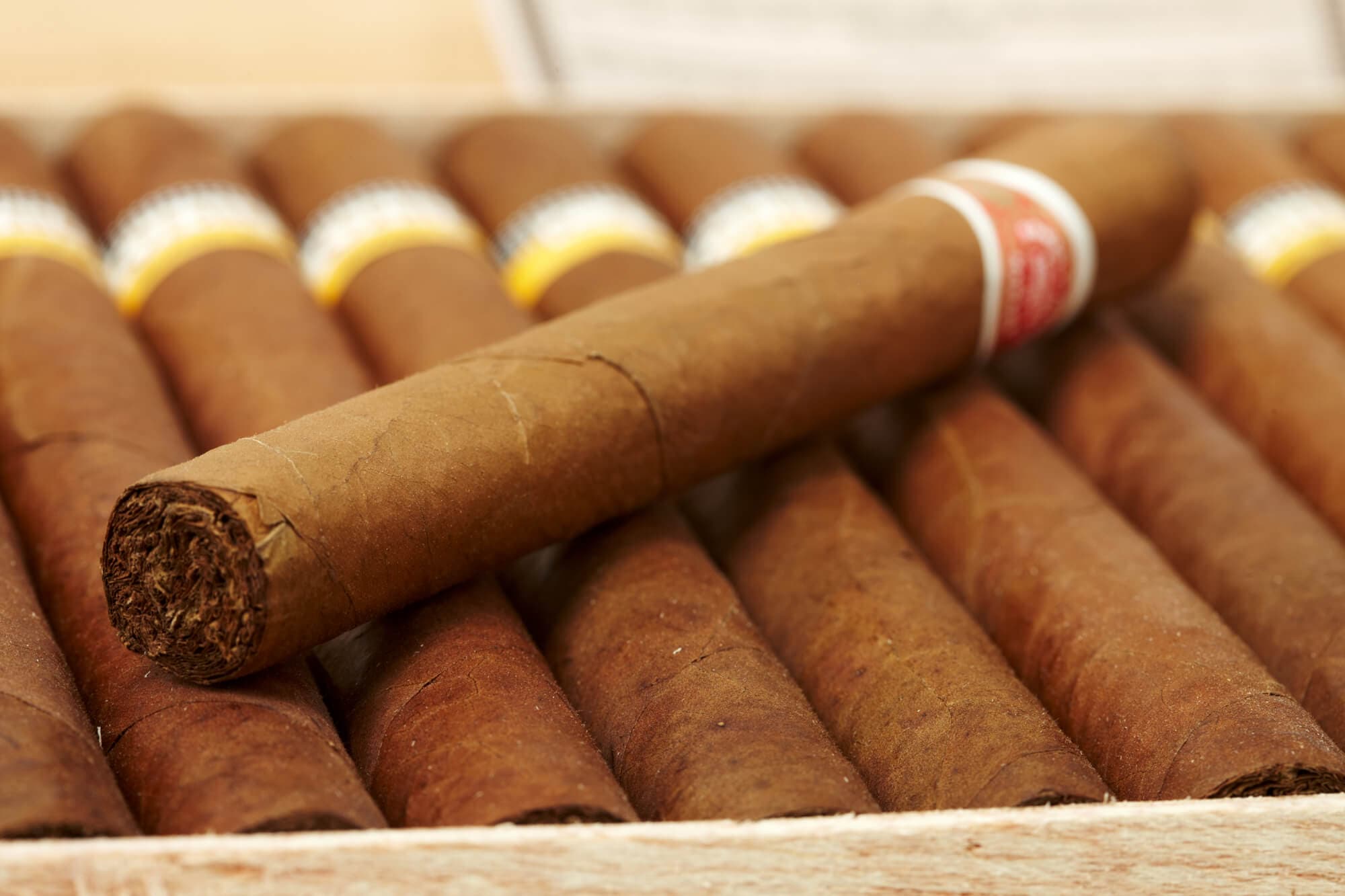 C-Cigars: Ihr Online-Shop für erlesene Zigarren und Zigarillos