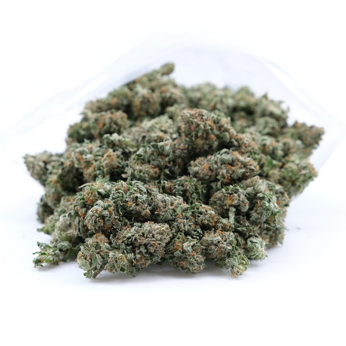 Entdecke die Welt von Sinsemilla bei Cannapot – Deine Quelle für hochwertige Cannabis Sativa und Cannabis Indica