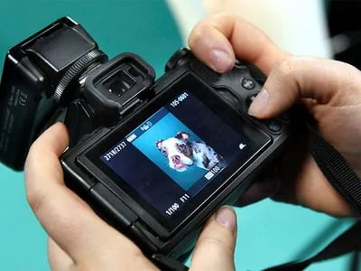 Fotokurs Hamburg: Authentische Bilder statt Zufallstreffer