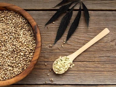 Die 5 wichtigsten Gründe für den regelmäßigen Verzehr von Cannabissamen