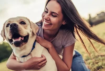 Wichtige Informationen, die Sie über Nahrungsergänzungsmittel für Hunde wissen müssen