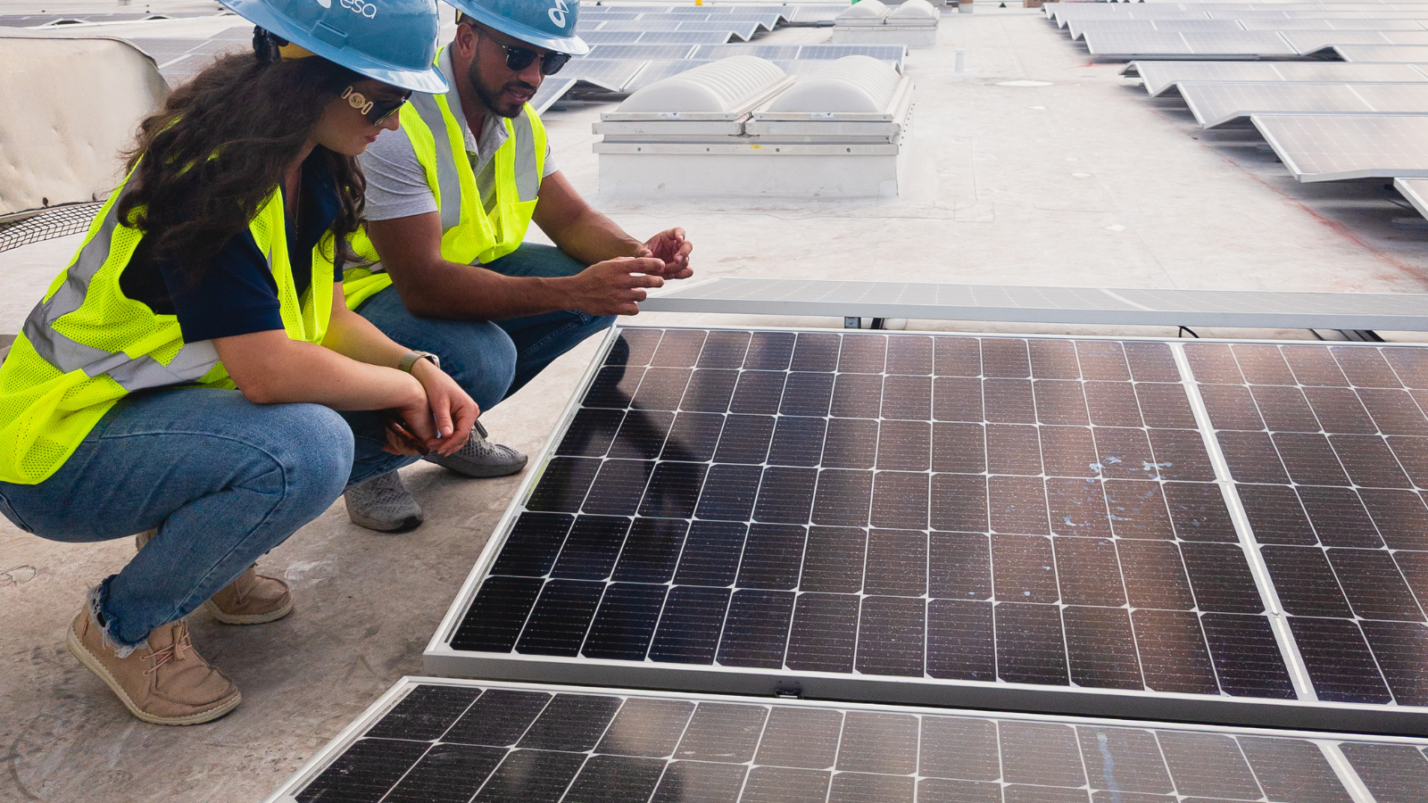 PV Magazine: Alles, was Sie über Photovoltaik wissen müssen