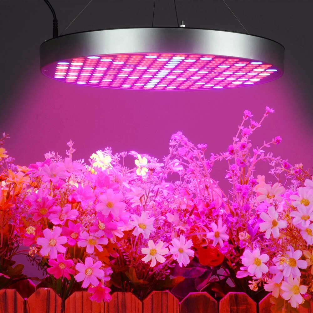 LED Grow Lights und HID Grow Lights – was ist besser für Sie?