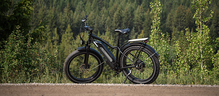 Denken Sie über die Anschaffung eines Himiway Cruisers nach?