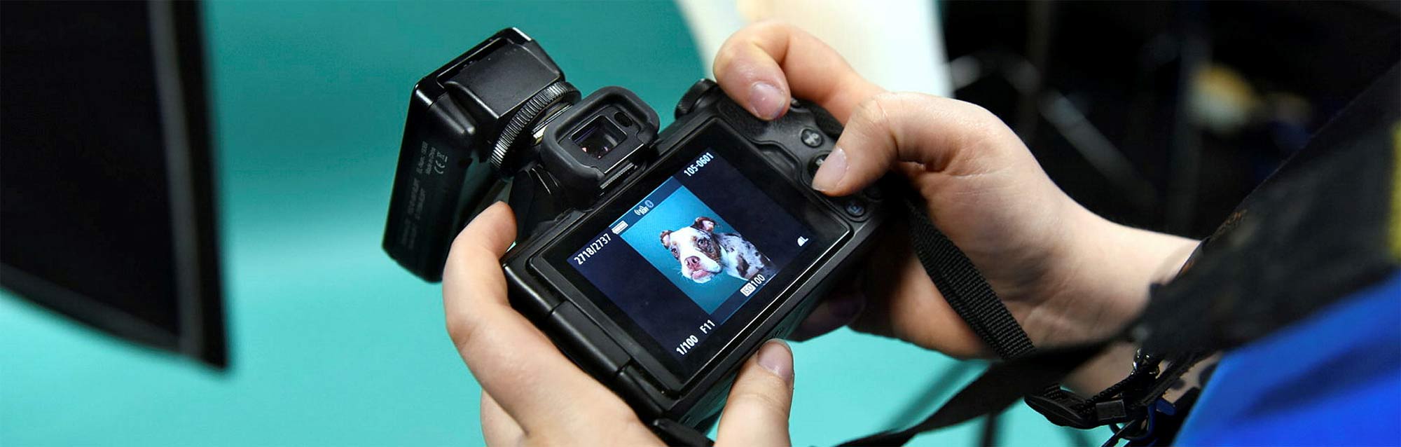 Fotokurs Hamburg: Authentische Bilder statt Zufallstreffer