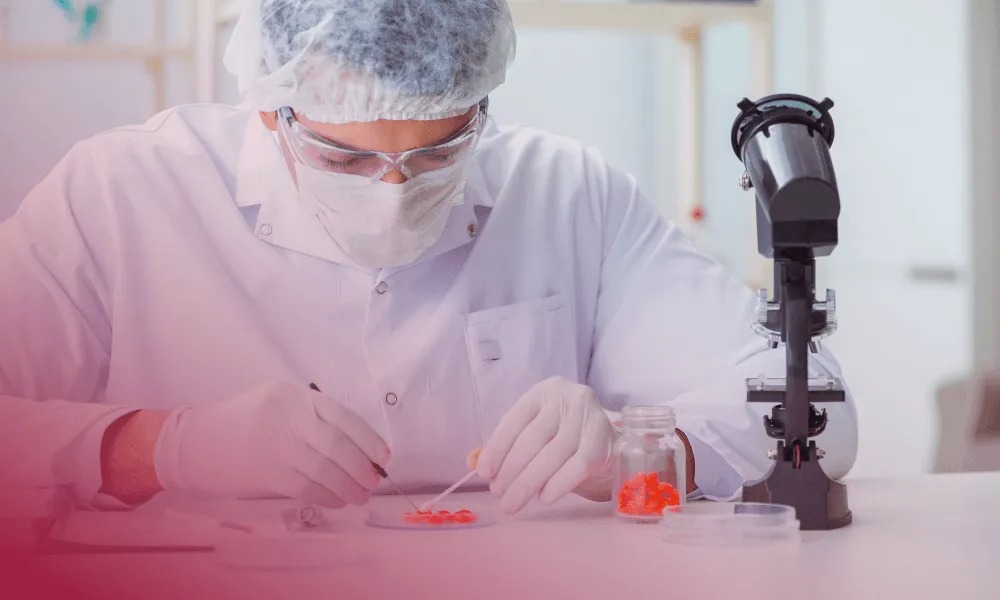 LIS: Optimierung von Laborprozessen durch moderne Systeme