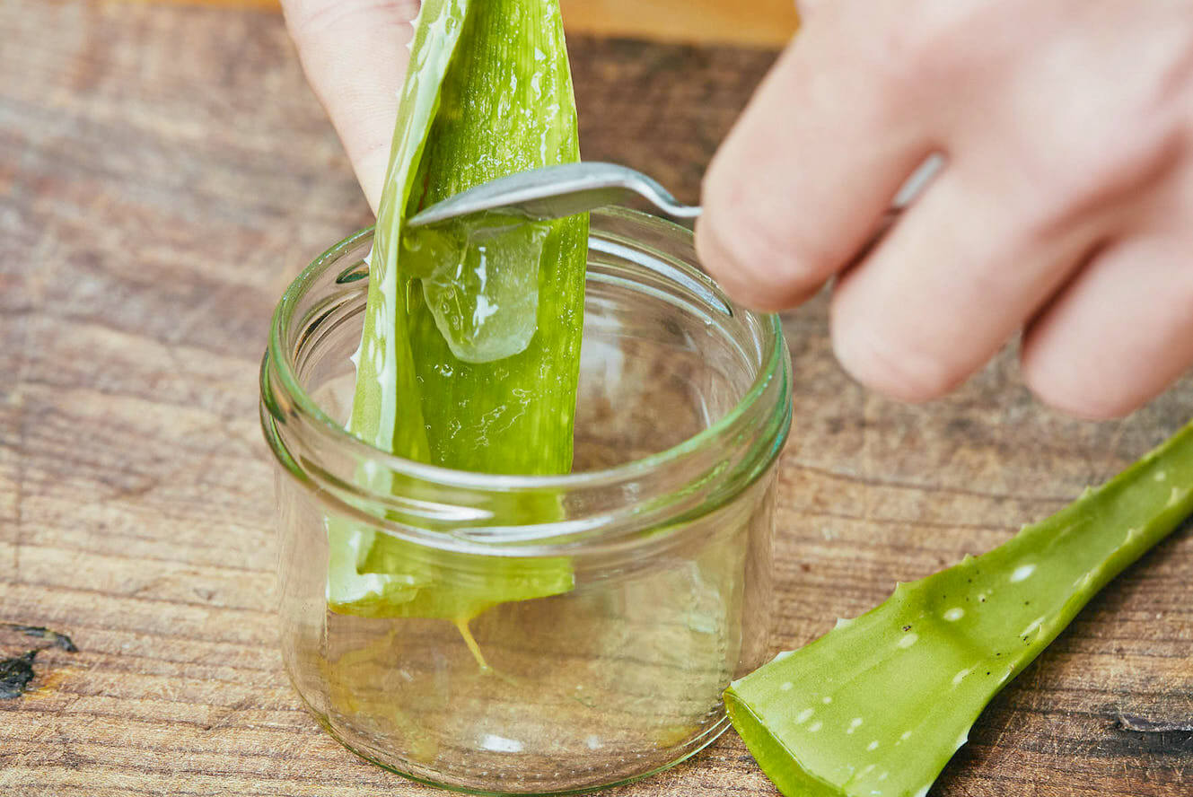 Aloe Vera für selbstgemachte Gesichtsmasken, Hautfeuchtigkeitscremes usw.
