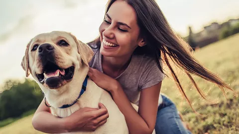 Wichtige Informationen, die Sie über Nahrungsergänzungsmittel für Hunde wissen müssen