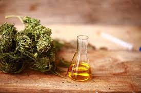 Alles, was Sie über CBD-Öl wissen müssen