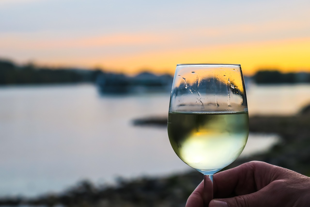 Uncorked Delights: Weinneuigkeiten, die Sie unterhalten werden