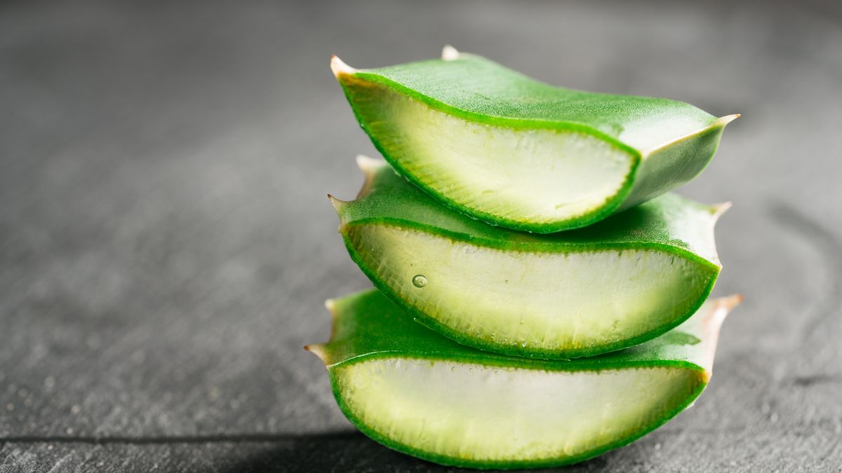 Aloe First: Ein Schlüsselprodukt für jeden Unabhängigen Distributor von Forever Living Products