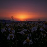 marco-di-baudo-6Qiu3EzQv5A-unsplash