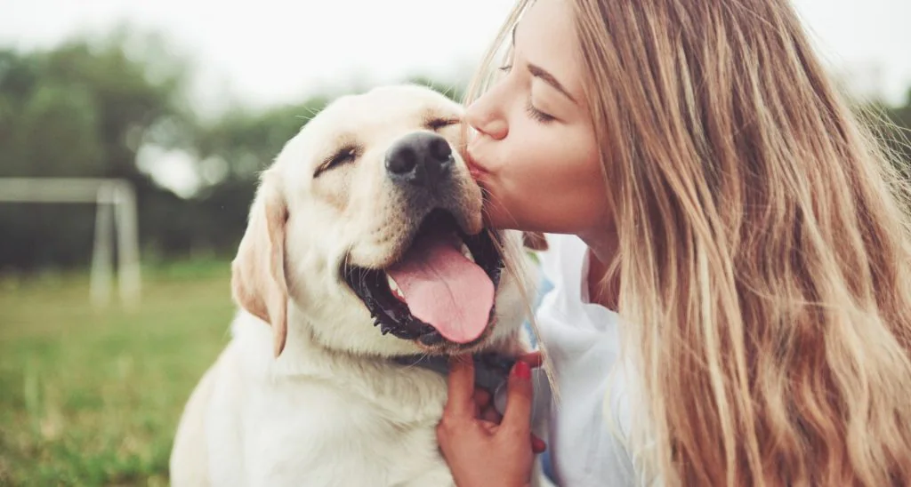 Hilfreiche Tipps in der Hundeerziehung
