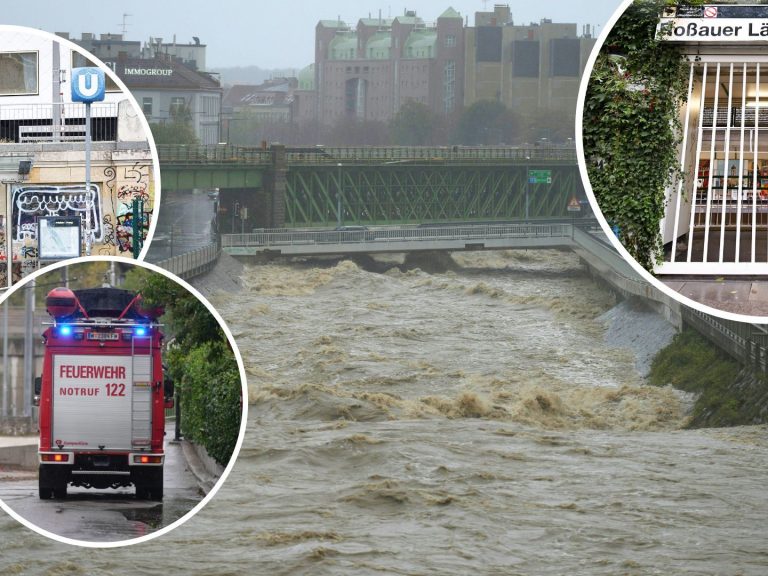 Artikel-Bilder-Verena260-4-3-240014401080-1440x1080-2